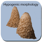 Hypogenic  Morphology  Caves simgesi