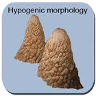 Hypogenic  Morphology  Caves آئیکن