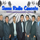 Radio Caucete 95.1 icon