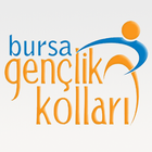 Ak Gençlik Bursa icon