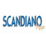 Scandiano App icône