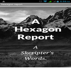 Icona hexagon report