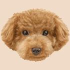 Clicker para perros biểu tượng