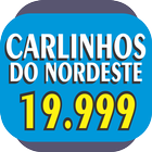 CARLINHOS DO NORDESTE - 199999 आइकन