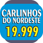 CARLINHOS DO NORDESTE - 199999 icono