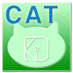 CATConcentration_game