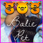 SOS Balie PET icon