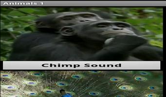 Animal Sounds App स्क्रीनशॉट 1