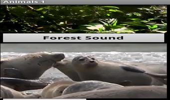 Animal Sounds App स्क्रीनशॉट 2