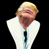 Thumpa Trump icon