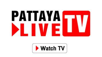 Pattaya Live TV captura de pantalla 1