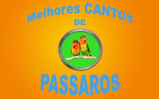 Os Melhores Cantos De Passaros syot layar 1