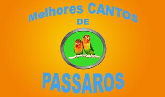 برنامه‌نما Os Melhores Cantos De Passaros عکس از صفحه