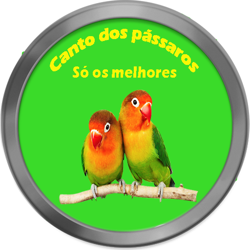 Canto dos pássaros