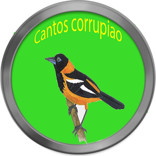 Cantos de corrupião