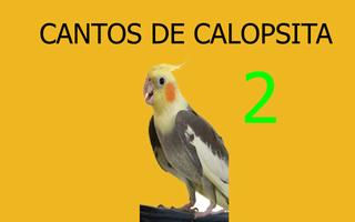 Poster Cantos de calopsita 2