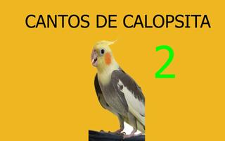 Cantos de calopsita 2 imagem de tela 1