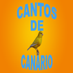 Cantos de Canário