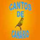 Cantos de Canário APK