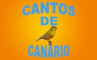 Cantos de Canário Plakat