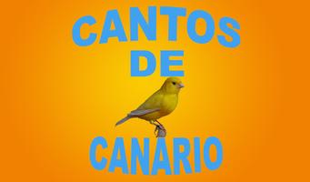 Cantos de Canário ảnh chụp màn hình 2