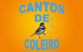 Cantos de Coleiro Affiche