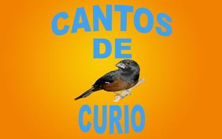 Cantos De Curió poster