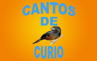Cantos De Curió скриншот 1