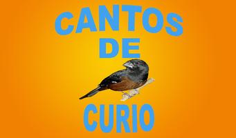 Cantos De Curió 截圖 2