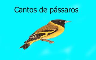 Canto pássaros Vol 1 LITE 2 Cartaz