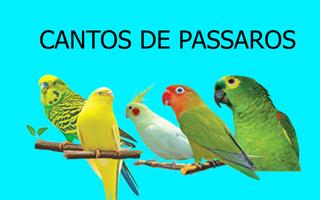 Canto dos pássaros V1 الملصق