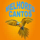 Melhores Cantos de Passaros biểu tượng