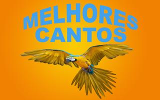Melhores Cantos de Passaros bài đăng