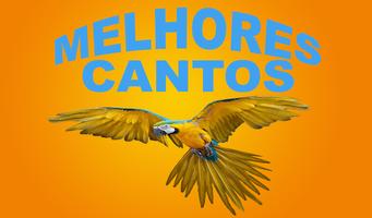 Melhores Cantos de Passaros ảnh chụp màn hình 2