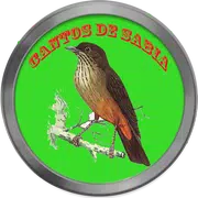 Canto do sabiá