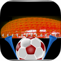Football Supporter Bayern Fan