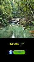 Buscame ภาพหน้าจอ 1