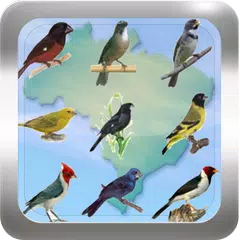 Canto de Pássaros Brasileiros アプリダウンロード