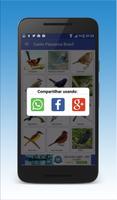 برنامه‌نما Canto de Pássaros Brasileiros عکس از صفحه