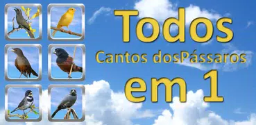 Todos em 1-Cantos dos Pássaros