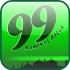 99 Names of Allah : Meaning and Tasbeh icône