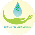 Vegetables Hidroponicos
