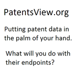 Patentsview.org API in action! أيقونة