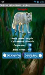 Mengenal Hewan APK download
