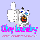 OLVY Laundry-icoon