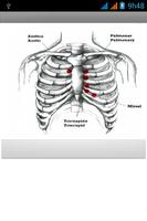 HEART + LUNG SOUNDS screenshot 1