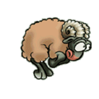 Sheep Location icône