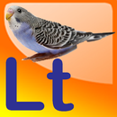 Pauksciai  LT Lithuanian lang APK