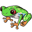 TyDo Frog Jump