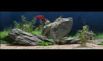 3D Cinema-Aquarium постер